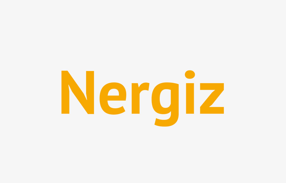 Nergiz Araba Çekici 0 536 445 0010