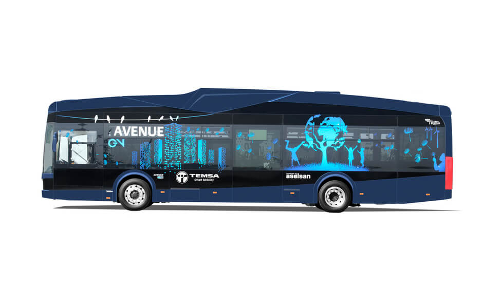 temsa-2